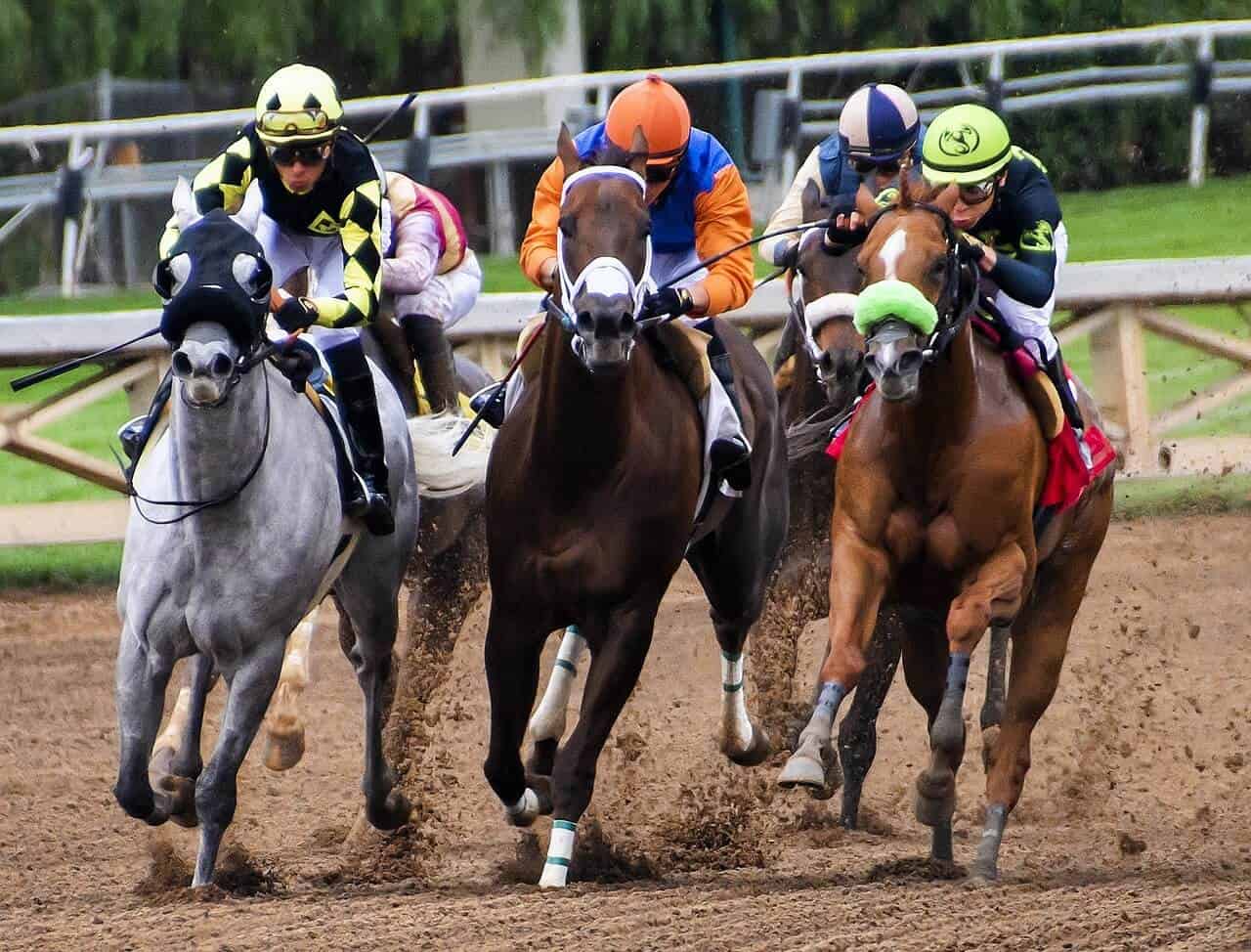 watch kentucky derby nz